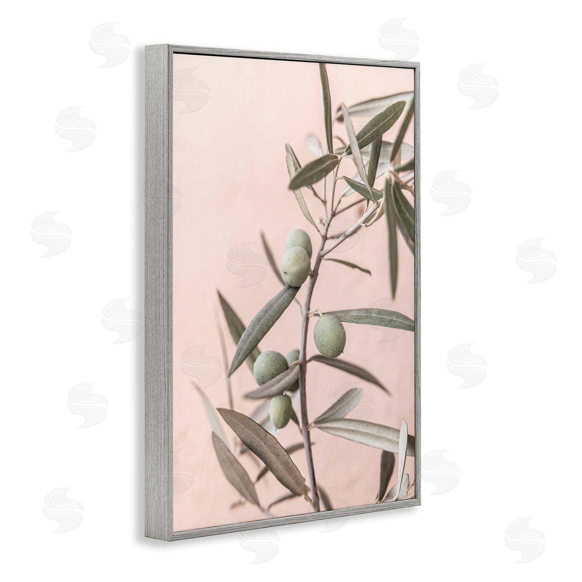 Sisi and Seb Spanish Olive Branch Gray Framed Giclee Wall Art Print