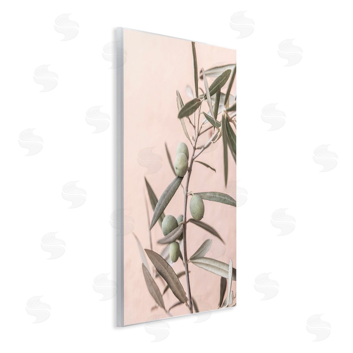 Sisi and Seb Spanish Olive Branch Wooden Wall Plaque Art Print