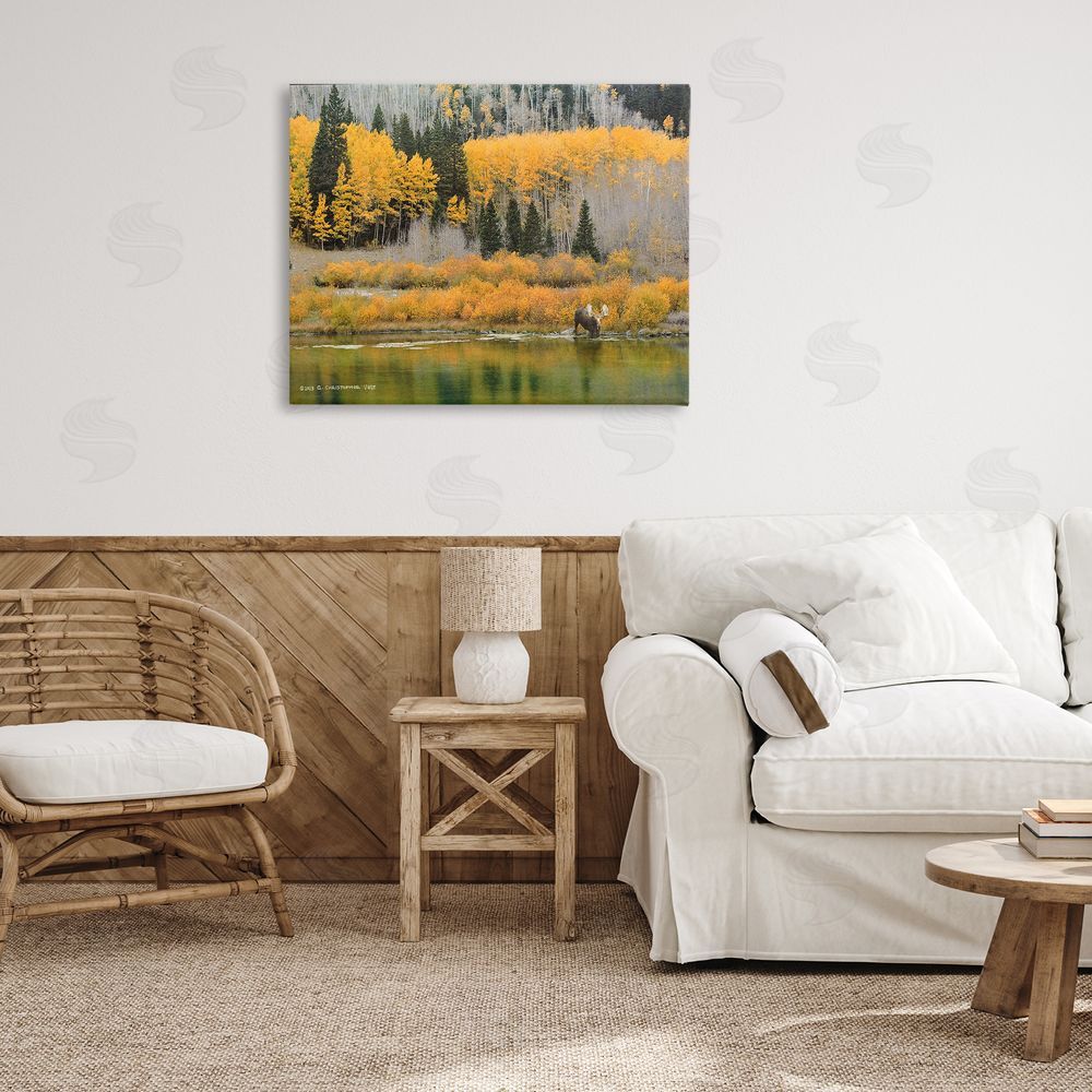 Chris Vest Moose at Priest Lake Canvas Wall Art Print in Room