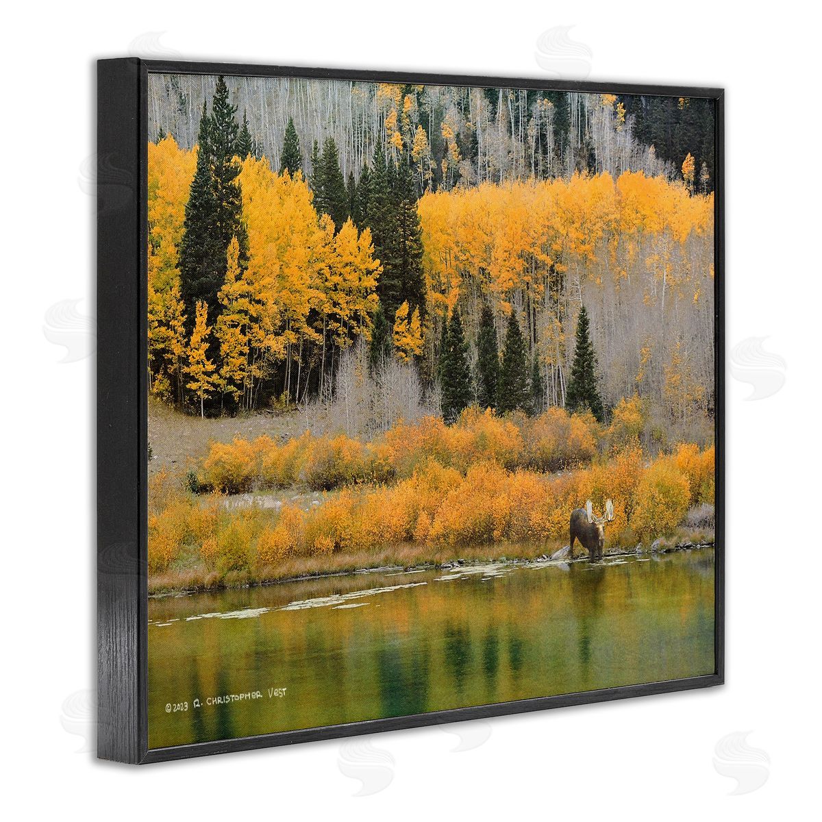 Chris Vest Moose at Priest Lake Black Framed Giclee Wall Art Print