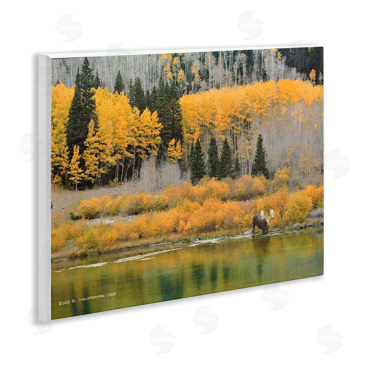 Chris Vest Moose at Priest Lake Wooden Wall Plaque Art Print