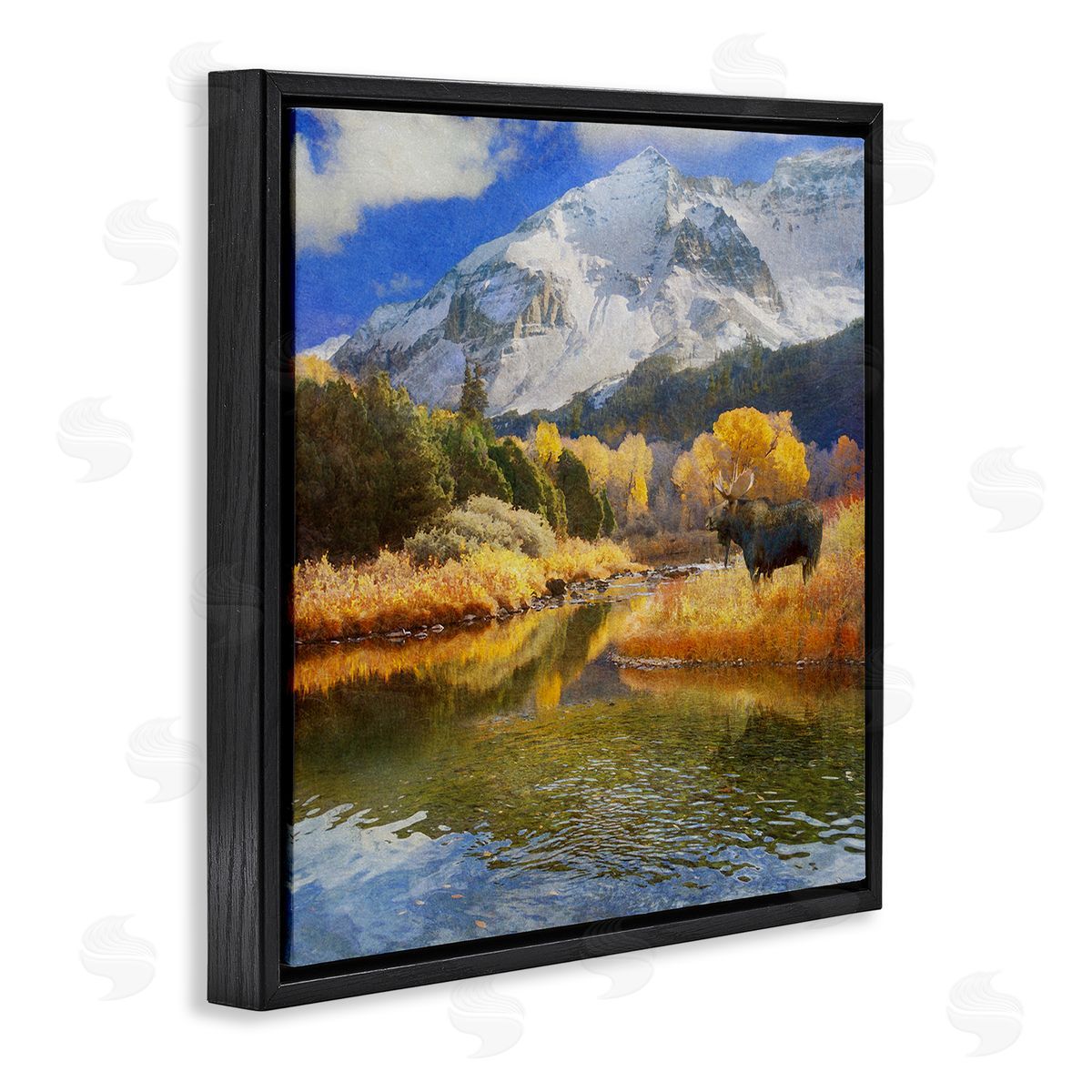 Chris Vest Moose on Dolores River Black Floating Frame Canvas Wall Art Print