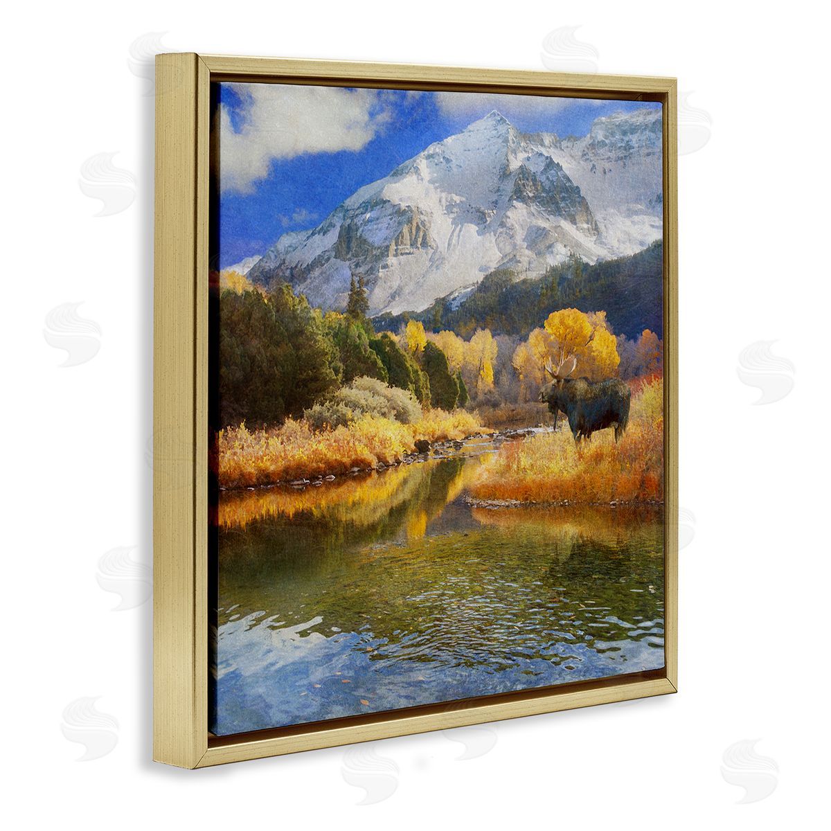 Chris Vest Moose on Dolores River Gold Floating Frame Canvas Wall Art Print