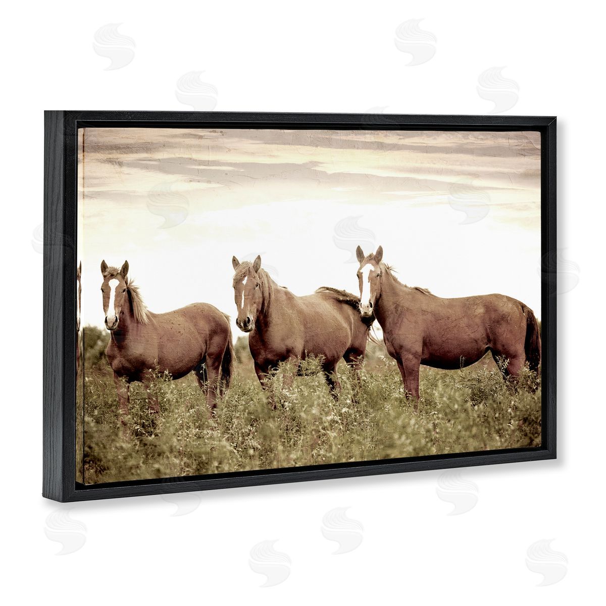 Kim Allen Horse Trio Gaze Black Floating Frame Canvas Wall Art Print