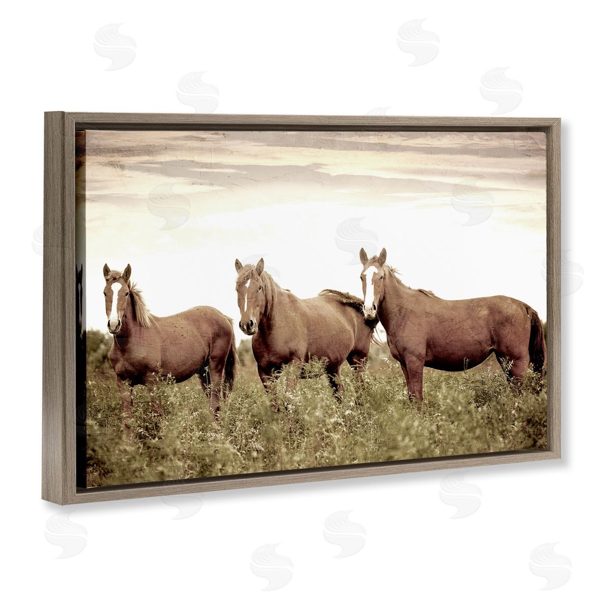 Kim Allen Horse Trio Gaze Brown Floating Frame Canvas Wall Art Print