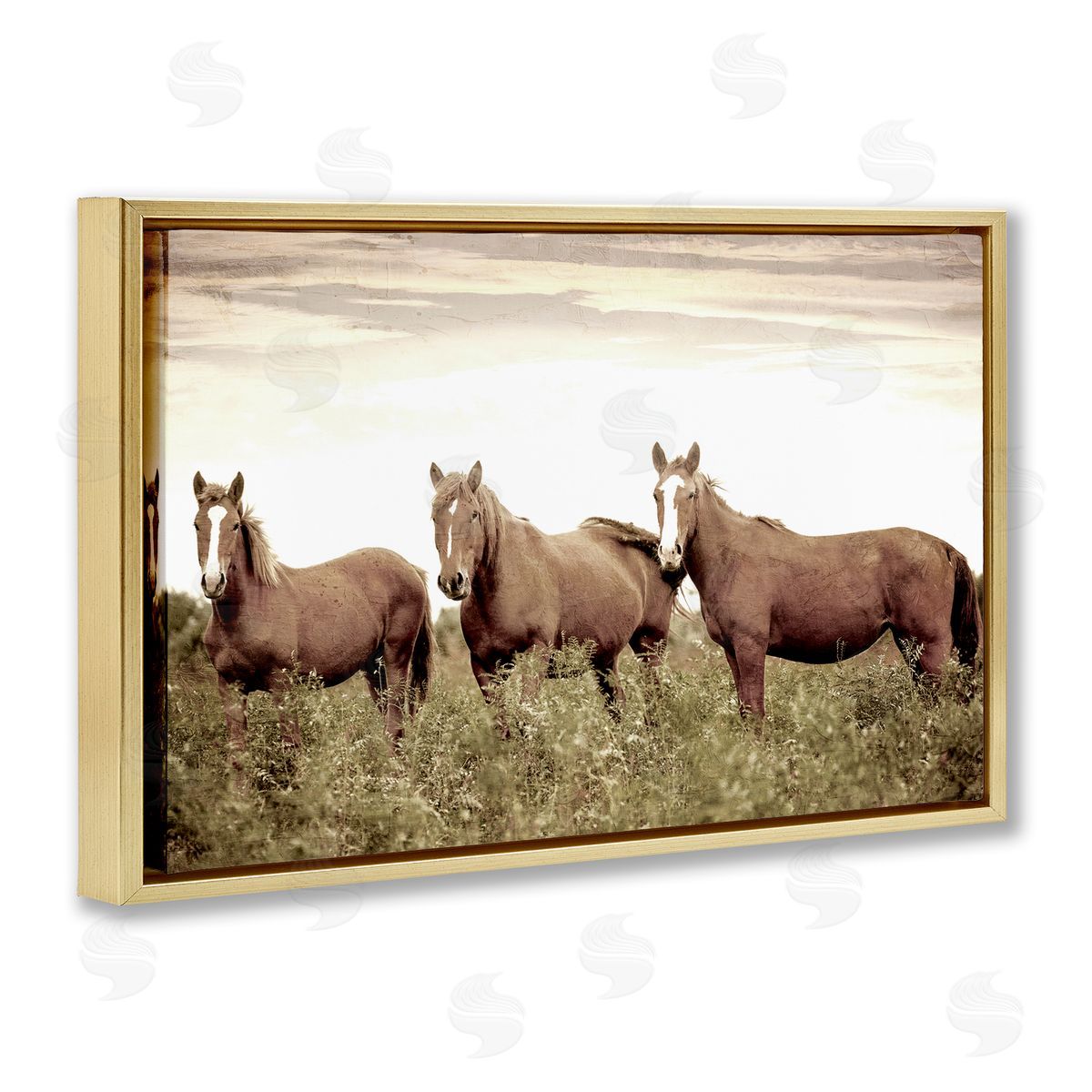 Kim Allen Horse Trio Gaze Gold Floating Frame Canvas Wall Art Print