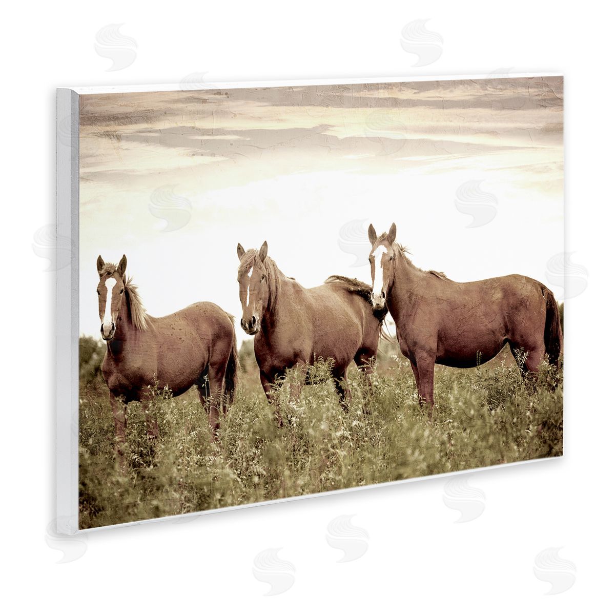 Kim Allen Horse Trio Gaze Wooden Wall Plaque Art Print