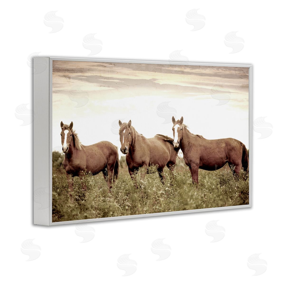 Kim Allen Horse Trio Gaze White Framed Giclee Wall Art Print