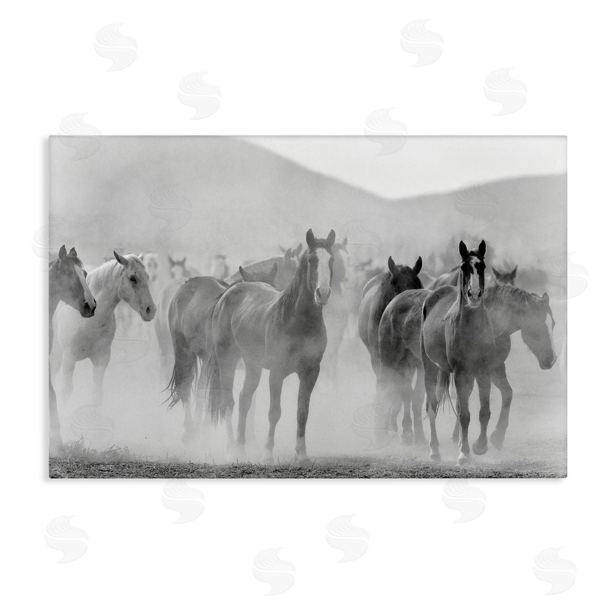 Kim Allen Running Horse Herd Canvas Wall Art Print