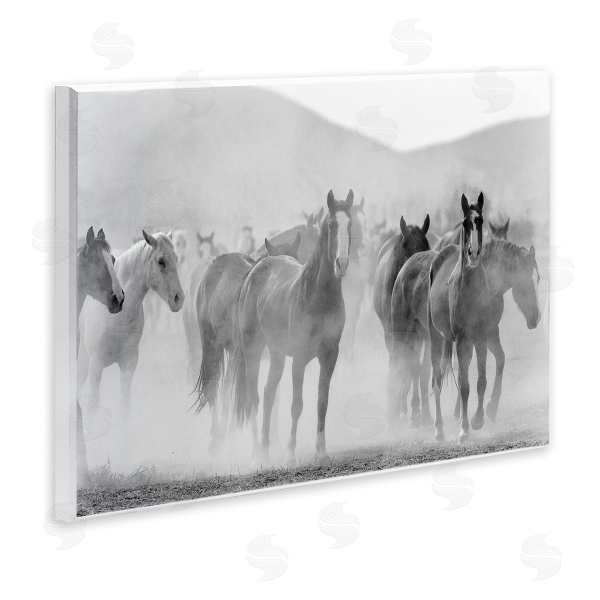 Kim Allen Running Horse Herd Wooden Wall Plaque Art Print
