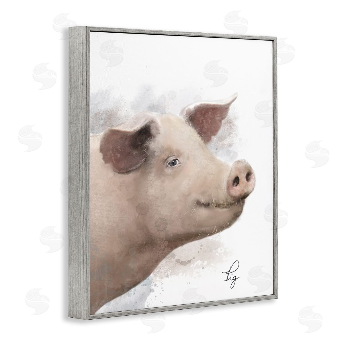 Matthew Piotrowicz Smiling Farm Pig Gray Framed Giclee Wall Art Print