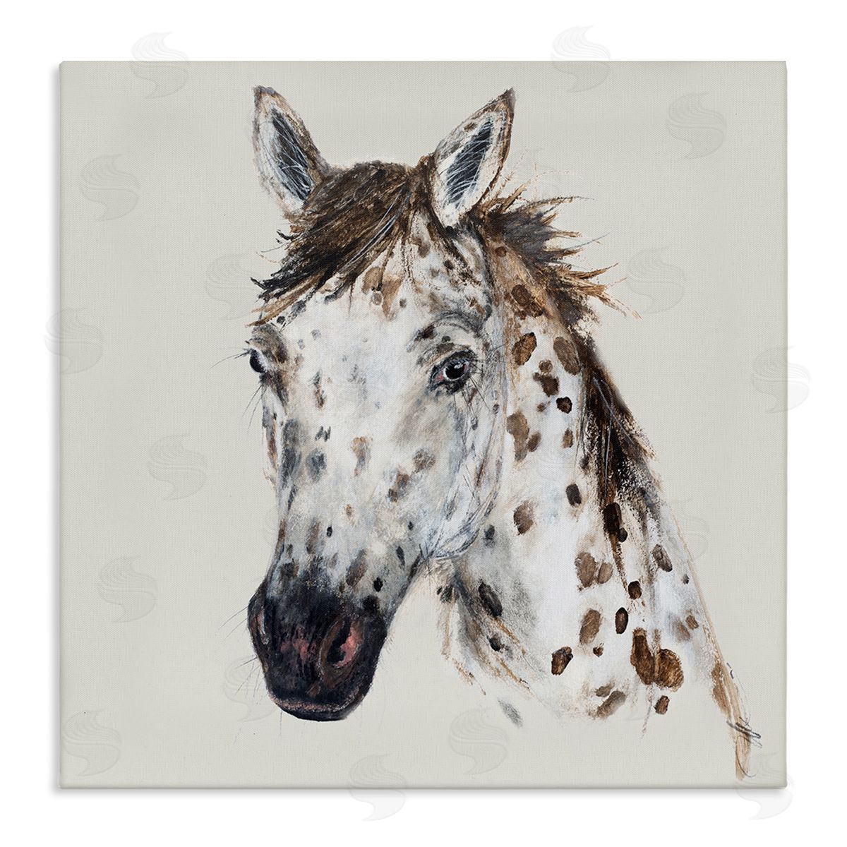 Filippo Ioco Charming Spotted Horse Canvas Wall Art Print