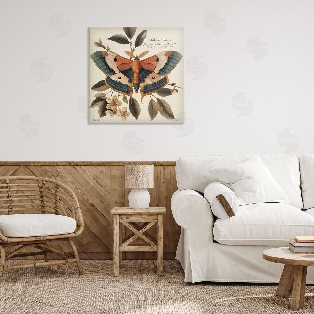 Steve Hunziker Enchanting Moth & Plant Canvas Wall Art Print in Room