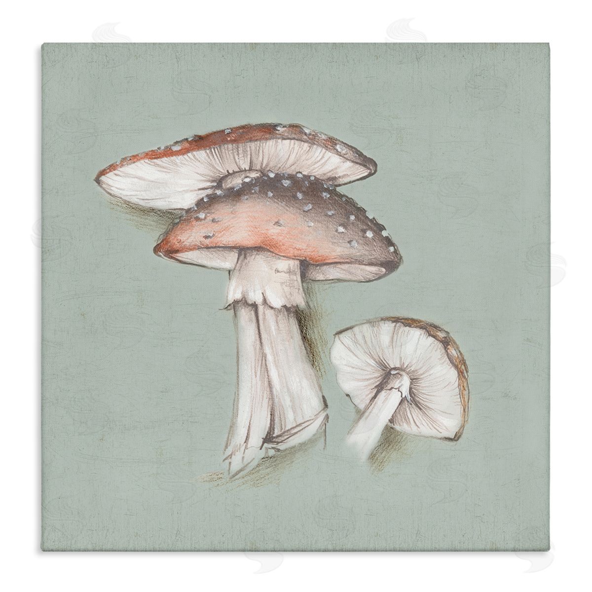 Eli Jones Mushroom Bunch Drawing Canvas Wall Art Print