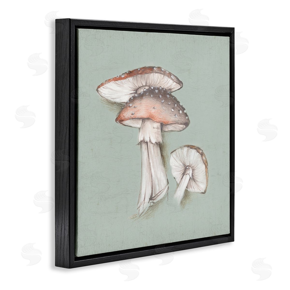 Eli Jones Mushroom Bunch Drawing Black Floating Frame Canvas Wall Art Print