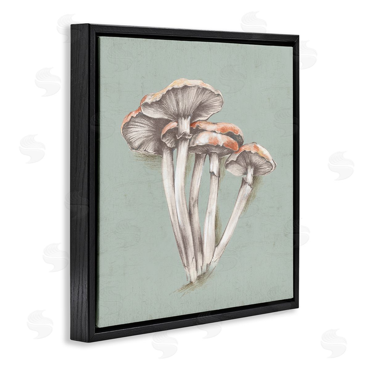 Eli Jones Mushroom Bundle Drawing Black Floating Frame Canvas Wall Art Print