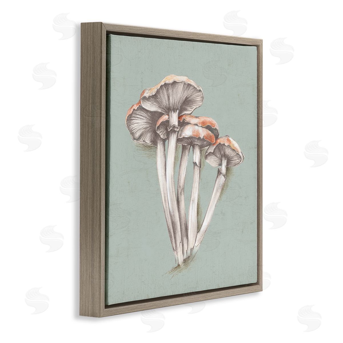 Eli Jones Mushroom Bundle Drawing Brown Floating Frame Canvas Wall Art Print