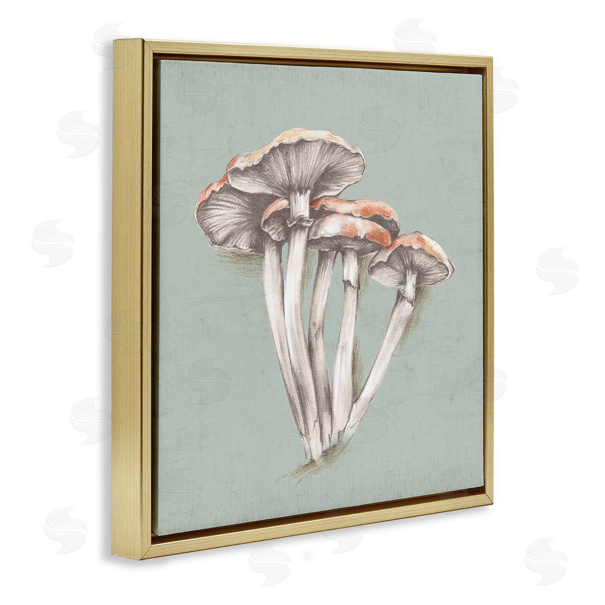 Eli Jones Mushroom Bundle Drawing Gold Floating Frame Canvas Wall Art Print