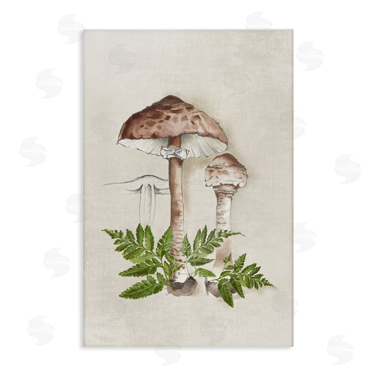 Eli Jones Mushroom & Ferns Sketch Canvas Wall Art Print