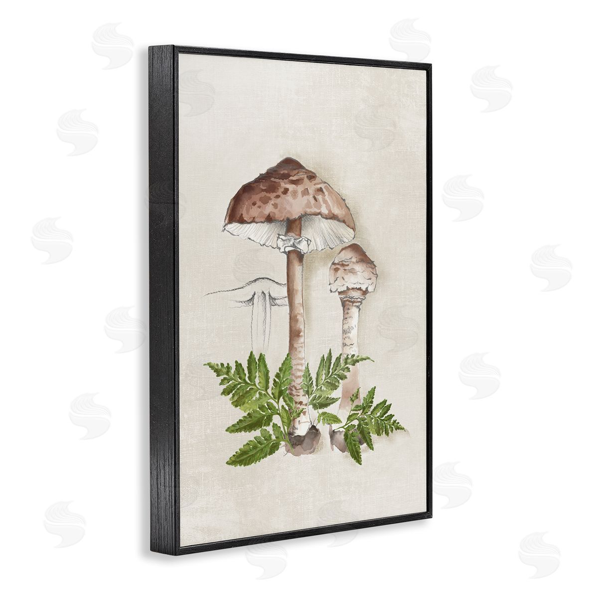 Eli Jones Mushroom & Ferns Sketch Black Framed Giclee Wall Art Print