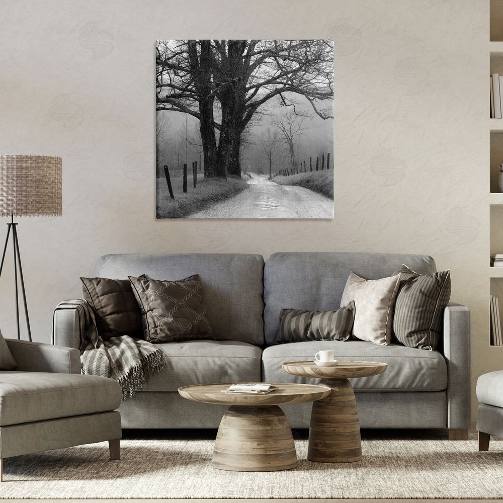 Nicholas Bell Lonely Path Toward Trees Canvas Wall Art Print in Room