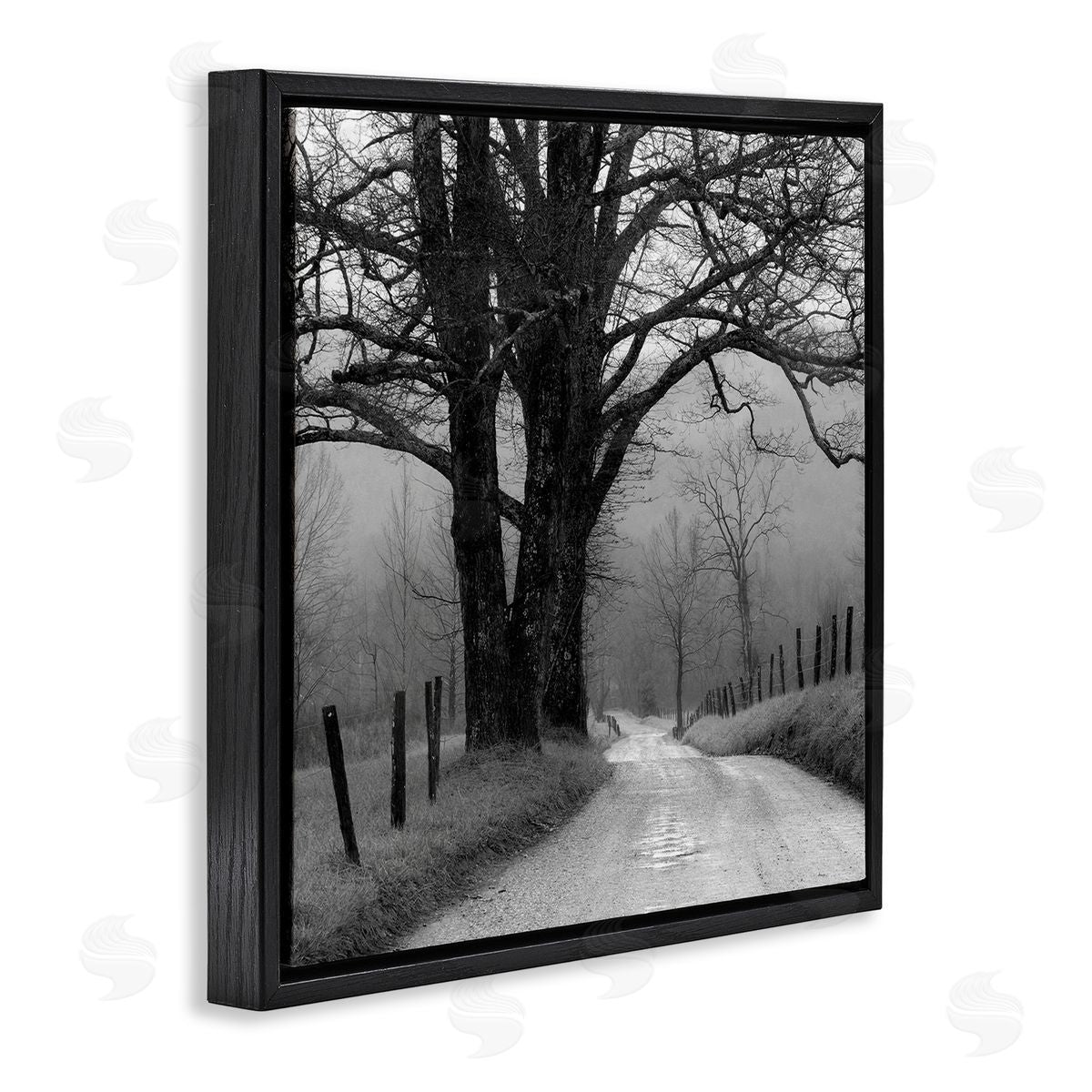 Nicholas Bell Lonely Path Toward Trees Black Floating Frame Canvas Wall Art Print