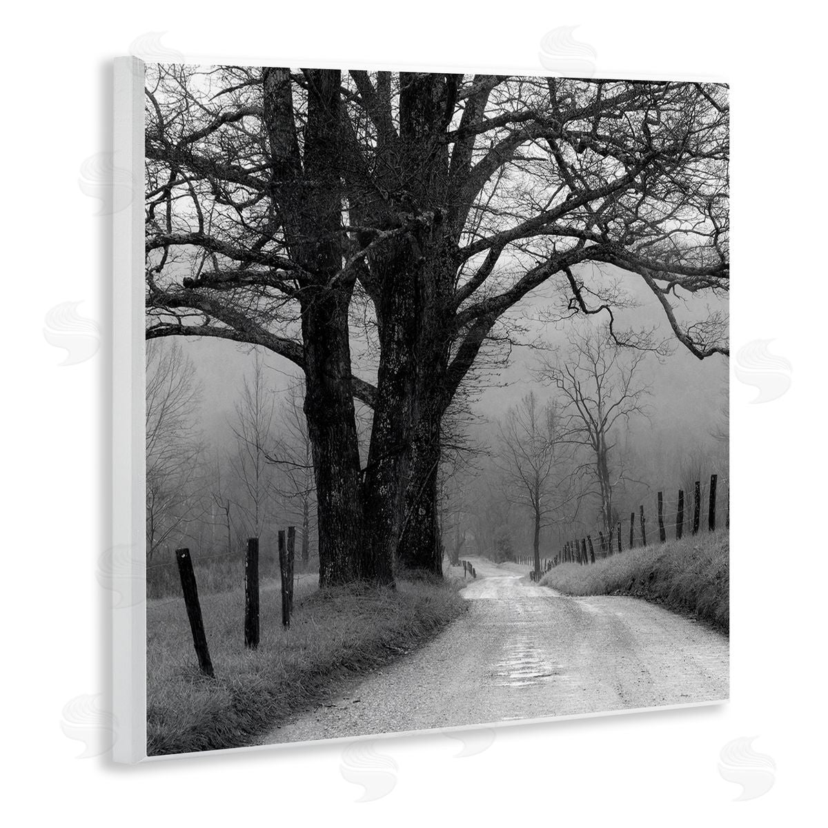 Nicholas Bell Lonely Path Toward Trees Wooden Wall Plaque Art Print