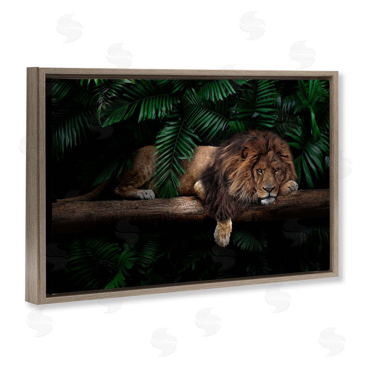 Reinders Lion on Tropical Branch Brown Floating Frame Canvas Wall Art Print