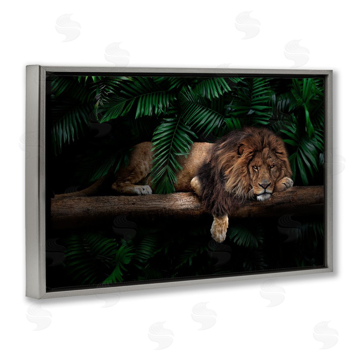 Reinders Lion on Tropical Branch Gray Floating Frame Canvas Wall Art Print