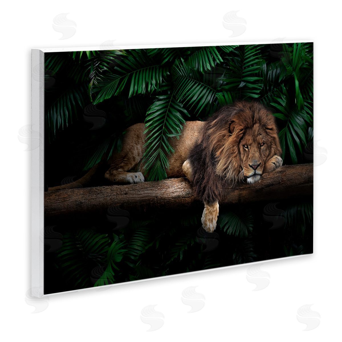 Reinders Lion on Tropical Branch Wooden Wall Plaque Art Print