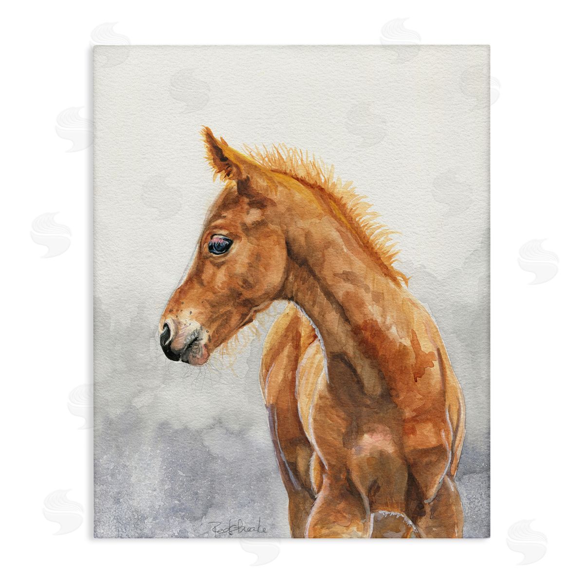 Birch & Ink Watercolor Brown Foal Canvas Wall Art Print