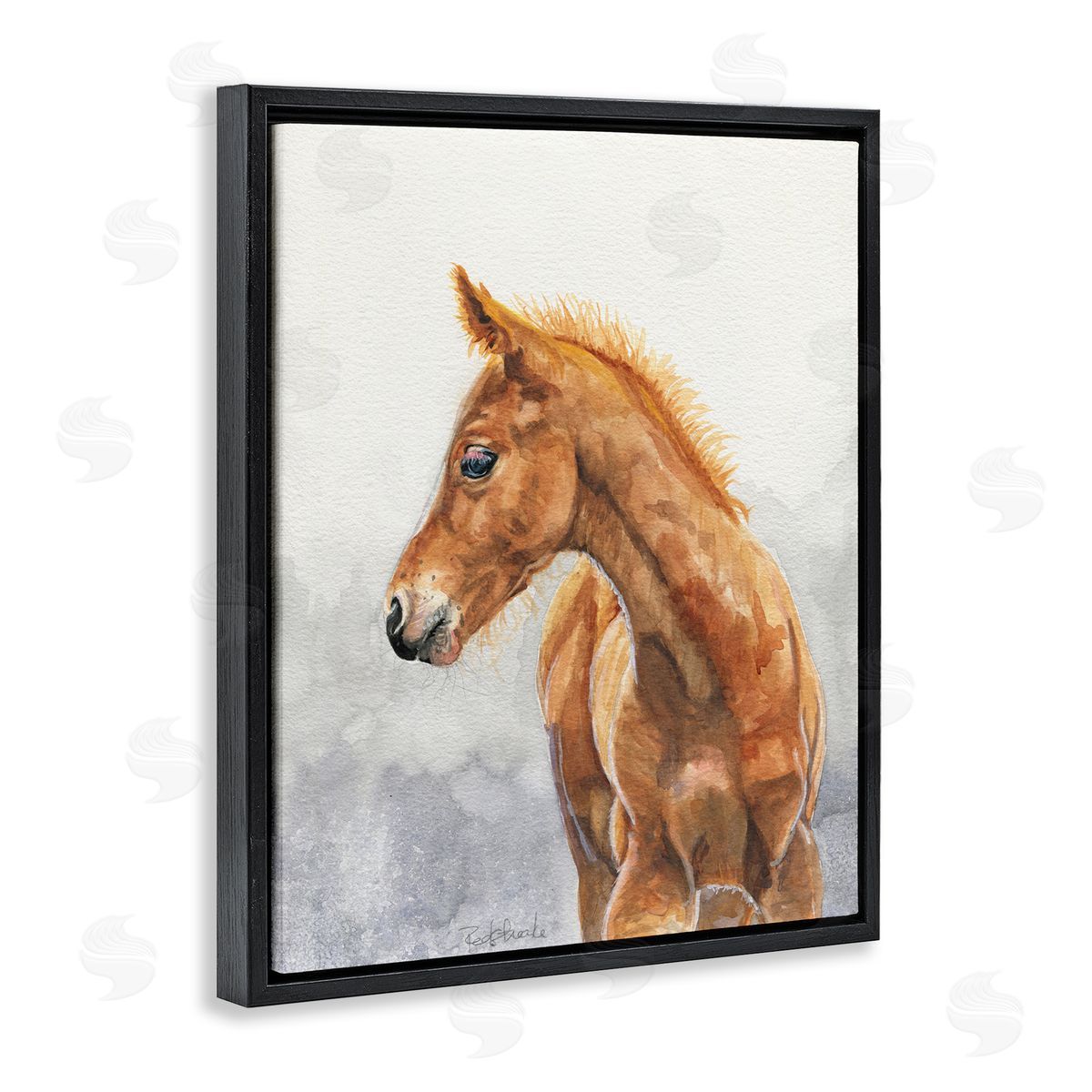 Birch & Ink Watercolor Brown Foal Black Floating Frame Canvas Wall Art Print