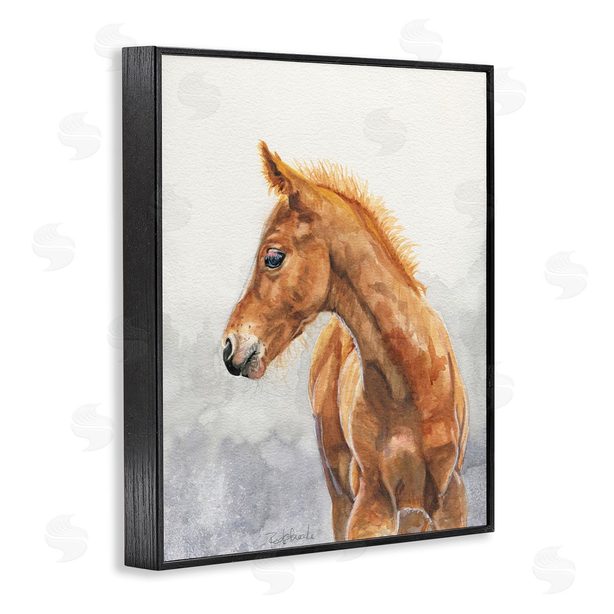 Birch & Ink Watercolor Brown Foal Black Framed Giclee Wall Art Print