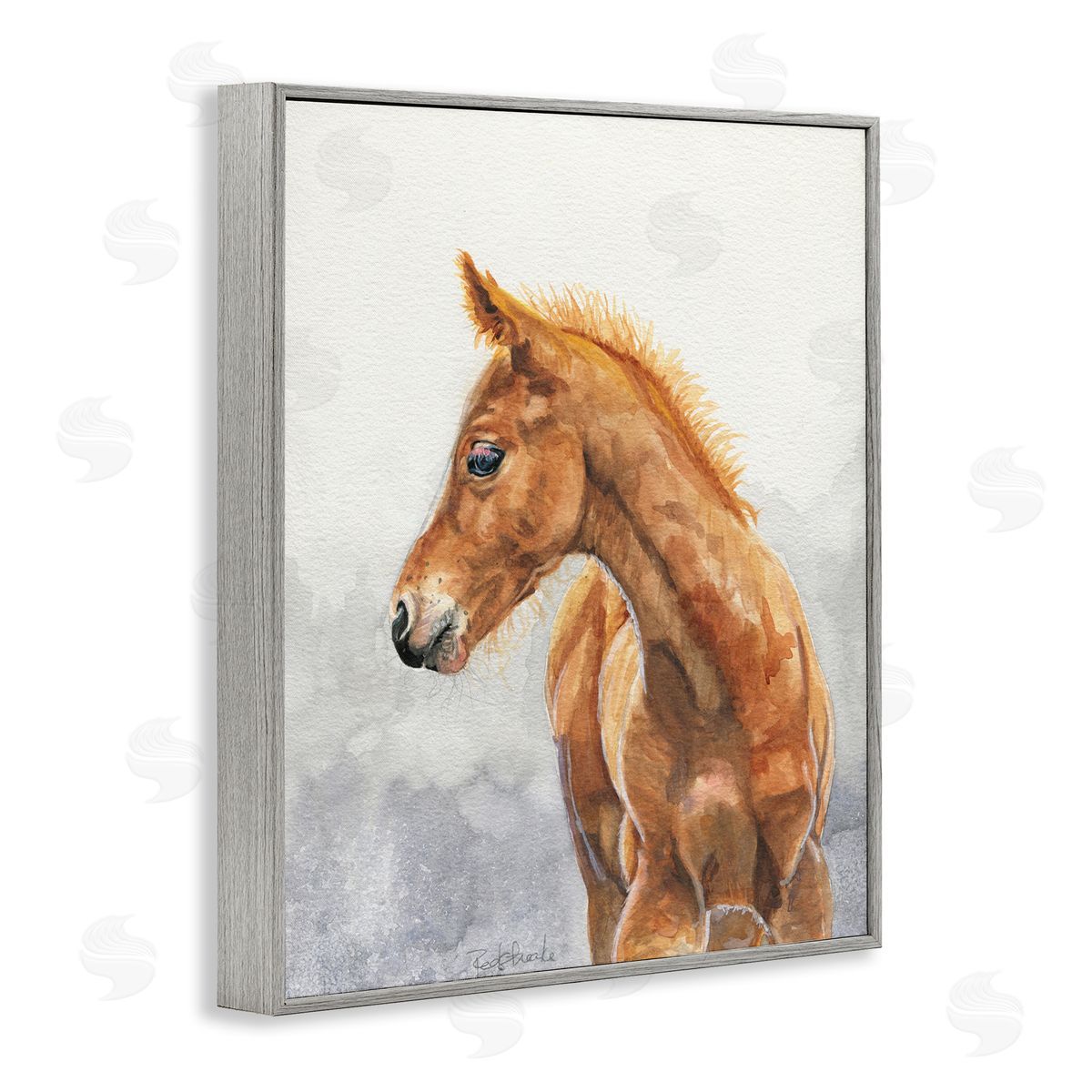 Birch & Ink Watercolor Brown Foal Gray Framed Giclee Wall Art Print