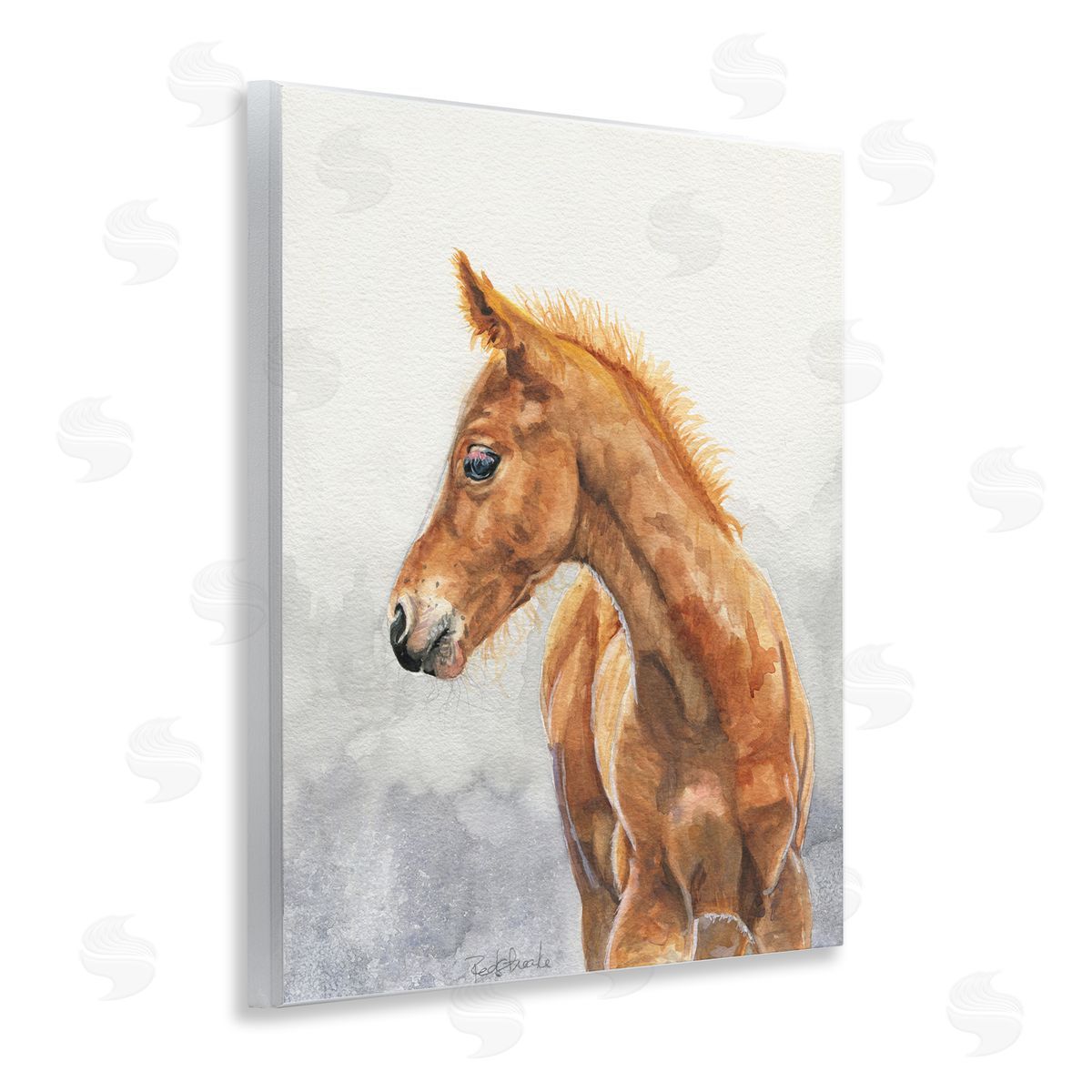 Birch & Ink Watercolor Brown Foal Wooden Wall Plaque Art Print