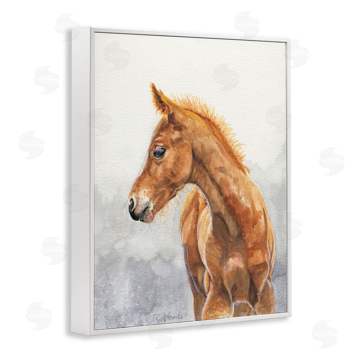 Birch & Ink Watercolor Brown Foal White Framed Giclee Wall Art Print