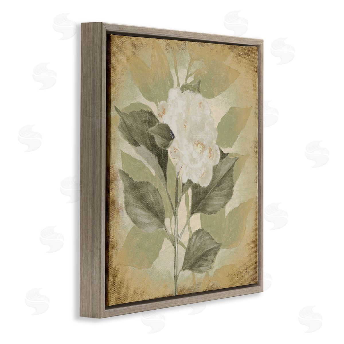Lanie Loreth Rustic Geranium Impression Brown Floating Frame Canvas Wall Art Print