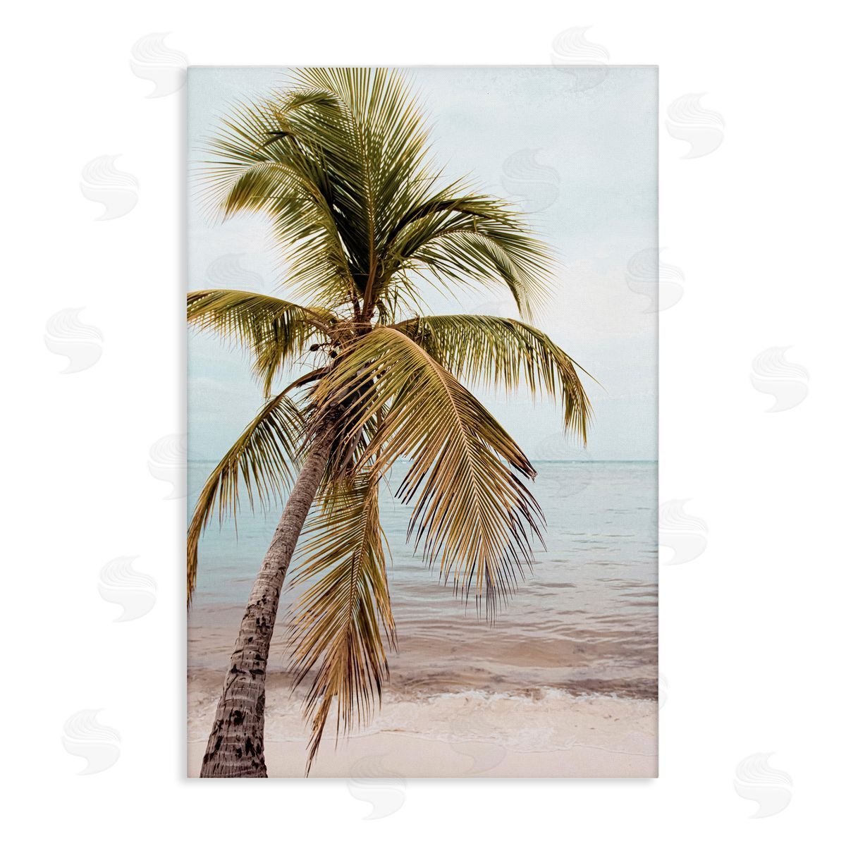 Nataly White California Summer Palm Canvas Wall Art Print