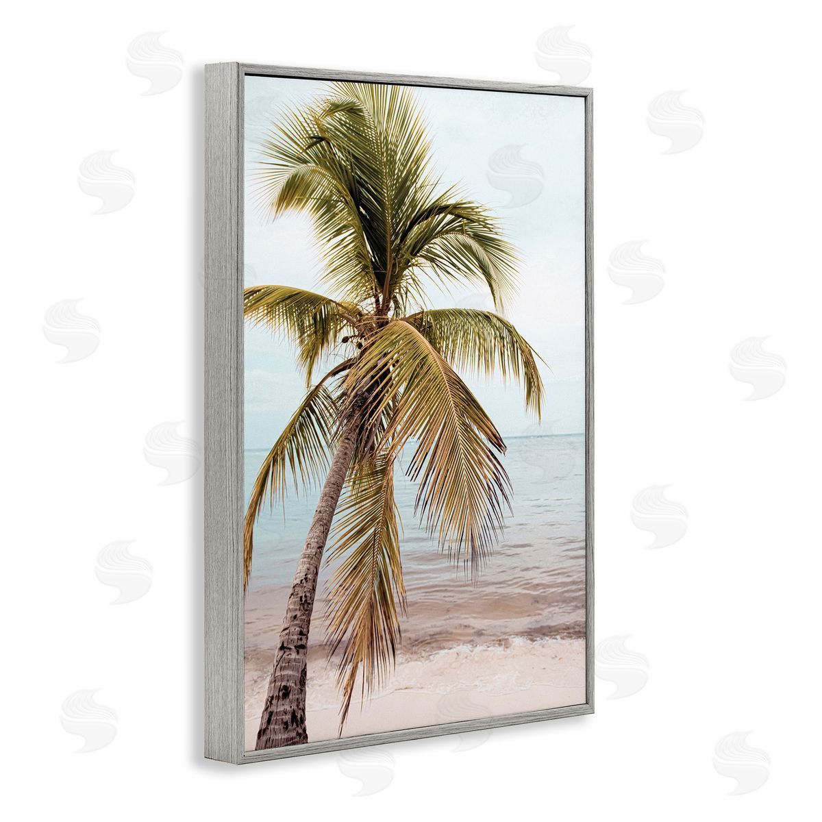 Nataly White California Summer Palm Gray Framed Giclee Wall Art Print