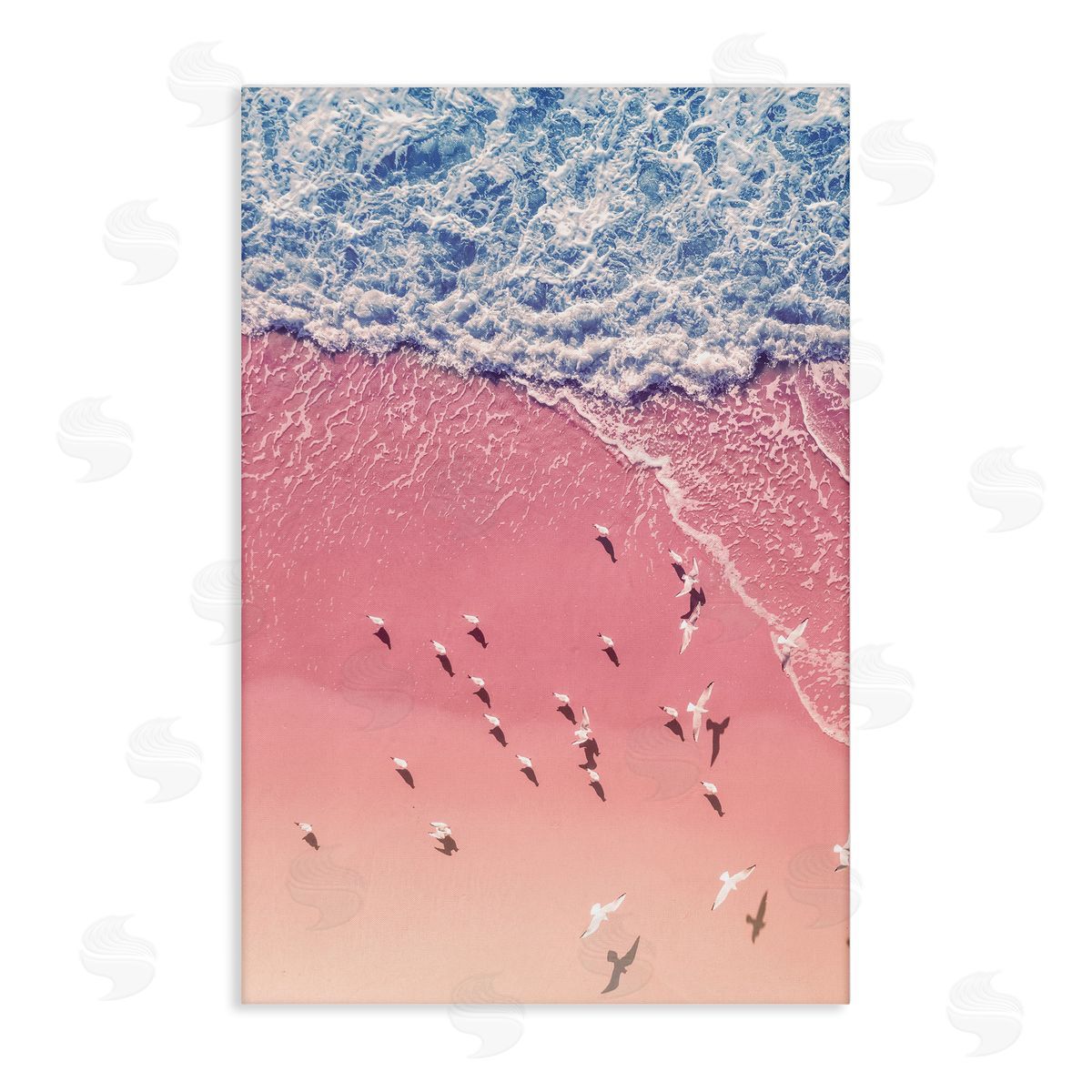 Nataly White Aerial Seagulls Pink Beach Canvas Wall Art Print
