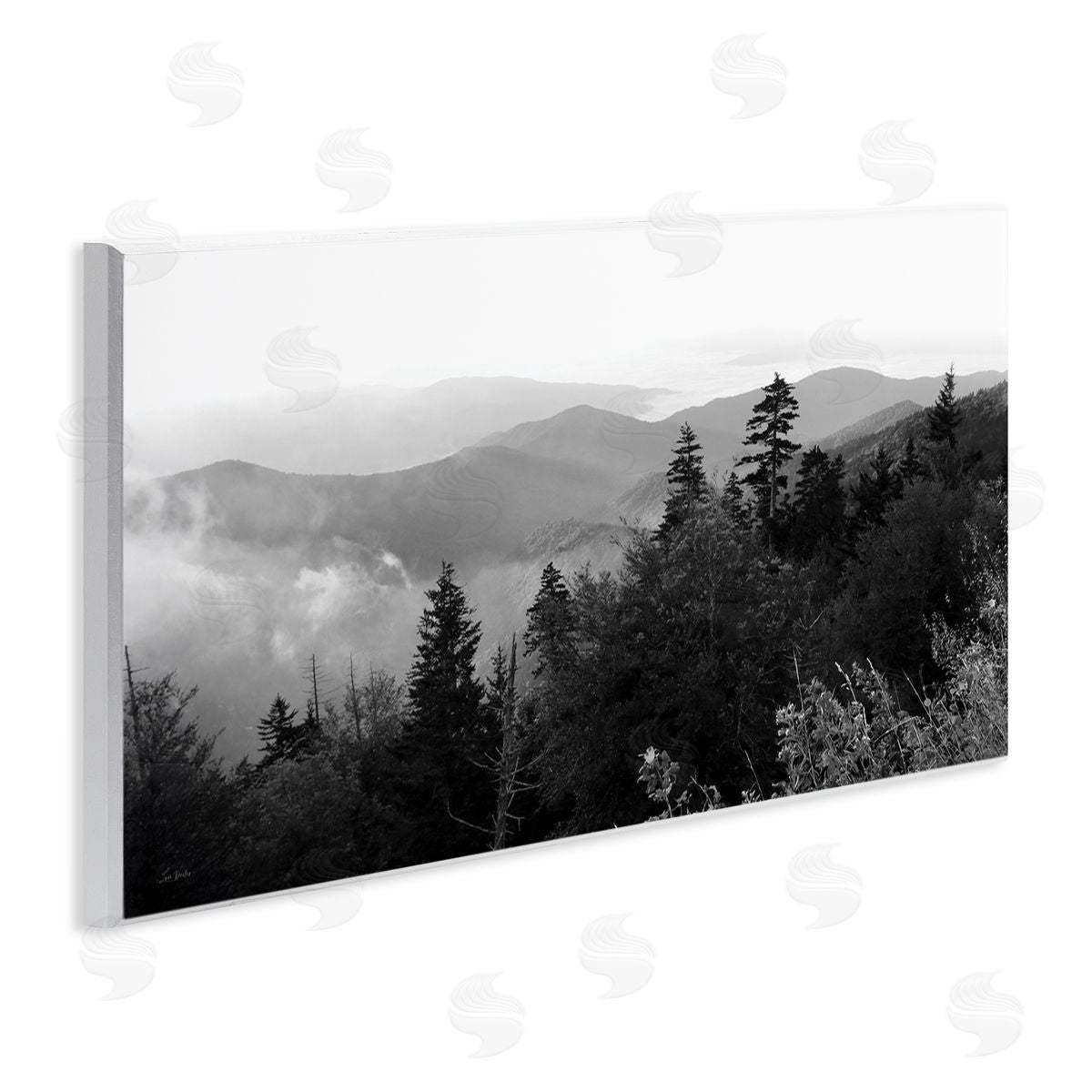 Lori Deiter Mountainous Trees Horizon