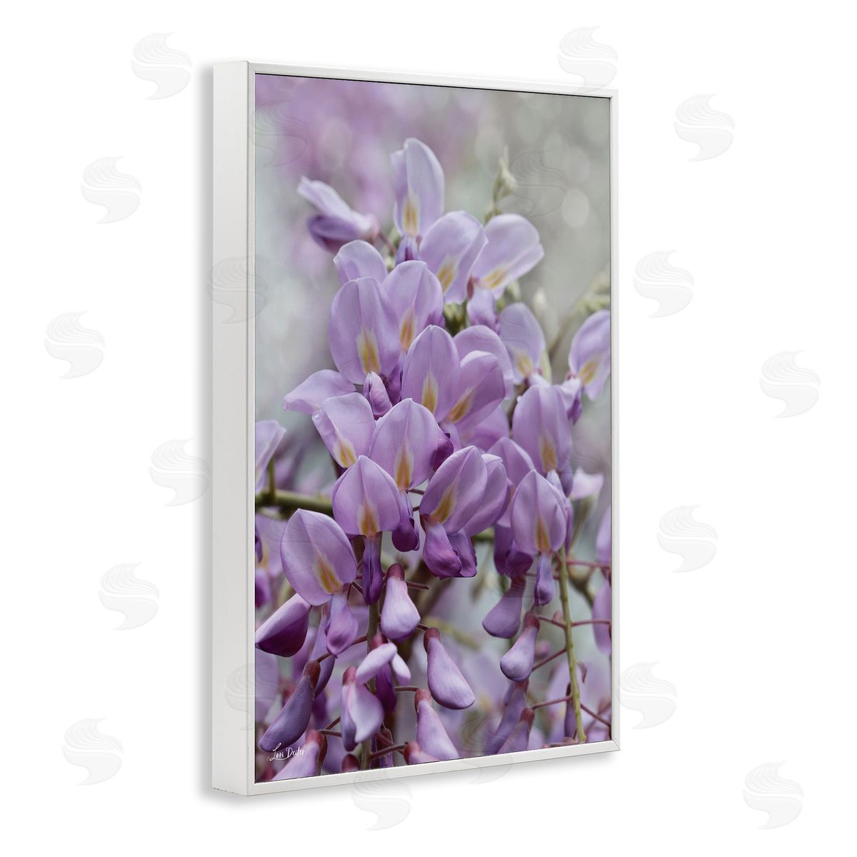 Lori Deiter Purple Orchid Petals White Framed Giclee Wall Art Print
