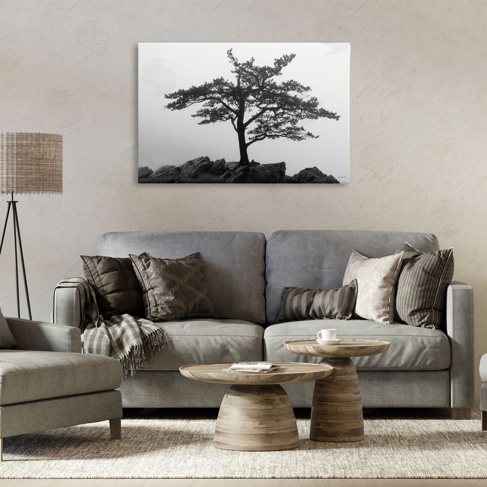 Lori Deiter Lone Tree on Rocks Canvas Wall Art Print in Room