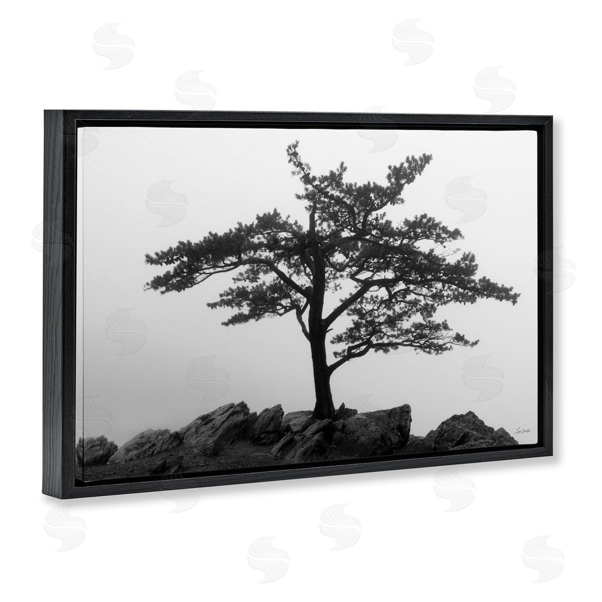Lori Deiter Lone Tree on Rocks Black Floating Frame Canvas Wall Art Print