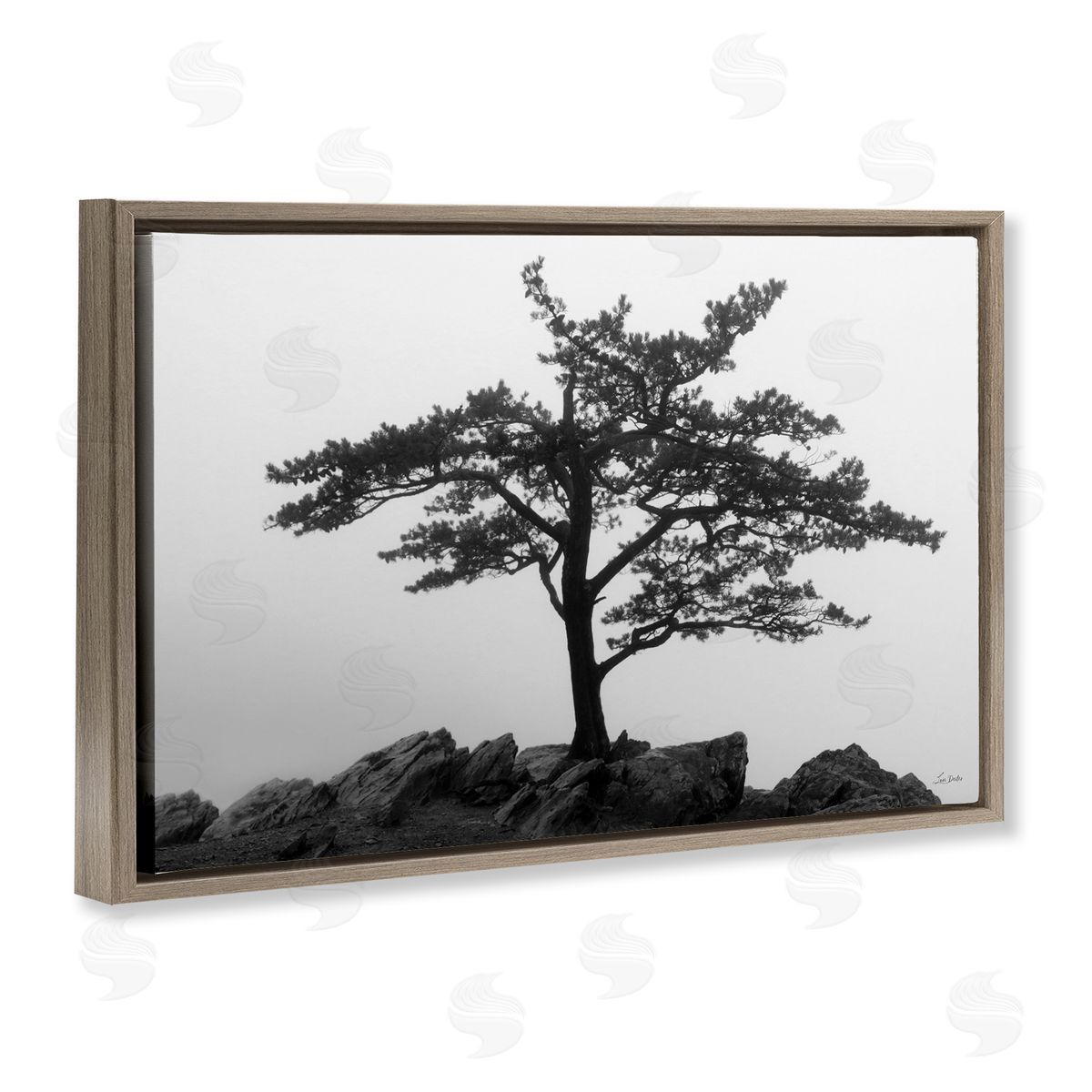 Lori Deiter Lone Tree on Rocks Brown Floating Frame Canvas Wall Art Print