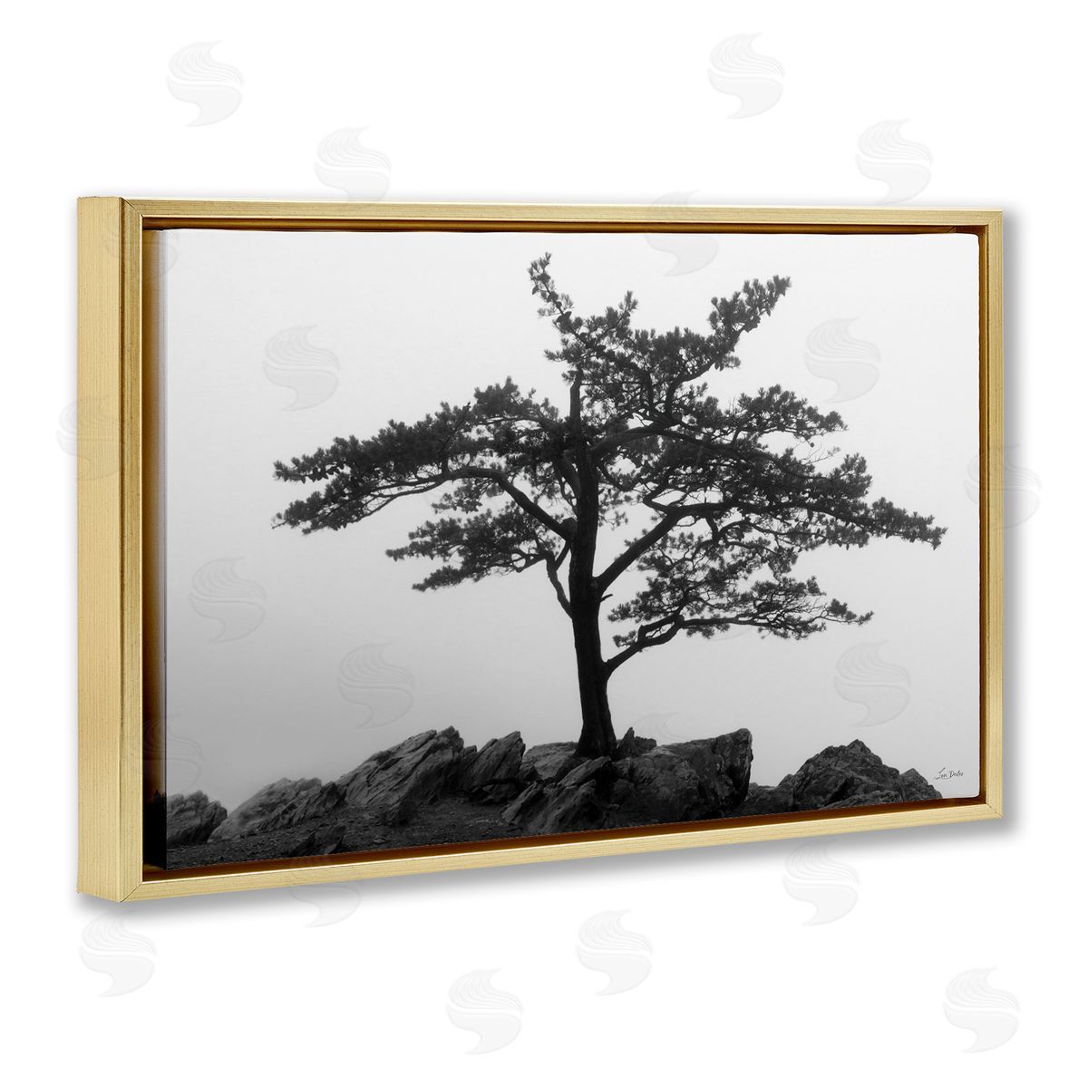 Lori Deiter Lone Tree on Rocks Gold Floating Frame Canvas Wall Art Print