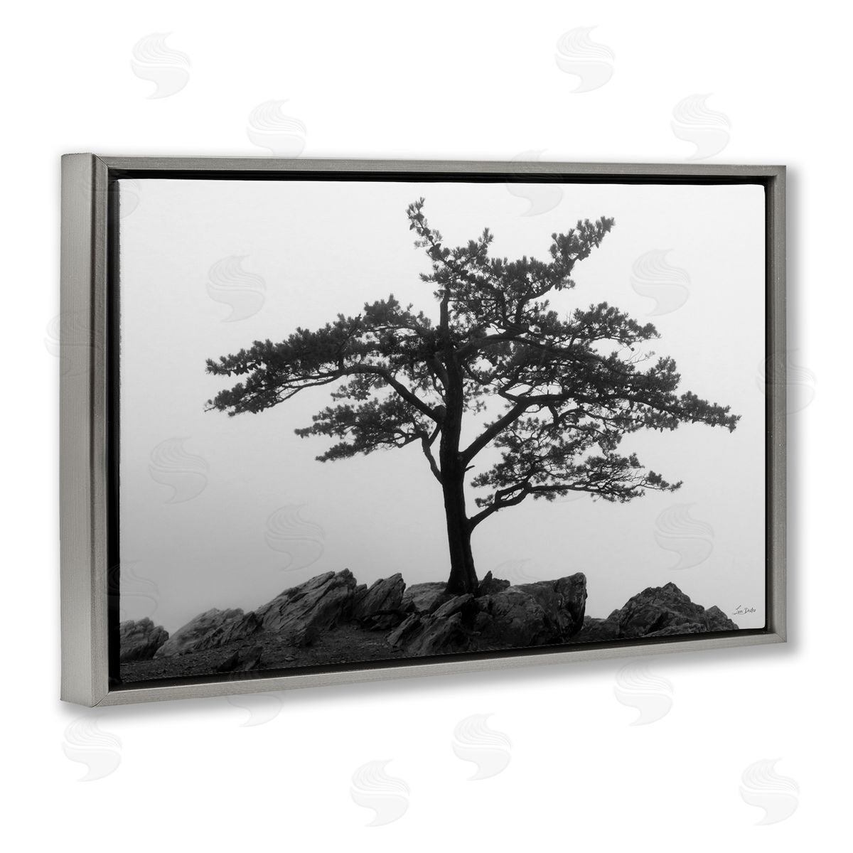 Lori Deiter Lone Tree on Rocks Gray Floating Frame Canvas Wall Art Print