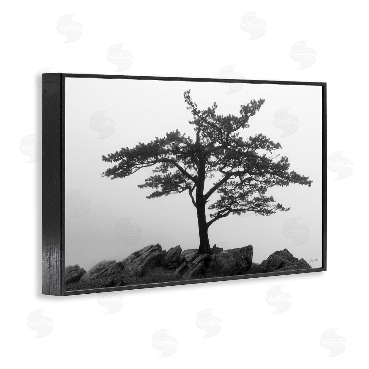 Lori Deiter Lone Tree on Rocks Black Framed Giclee Wall Art Print