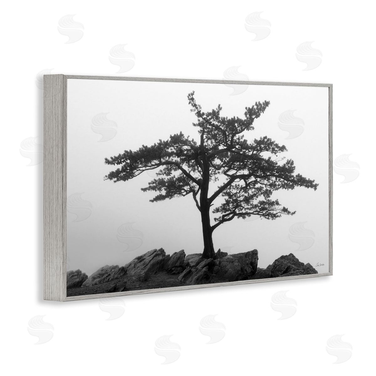 Lori Deiter Lone Tree on Rocks Gray Framed Giclee Wall Art Print