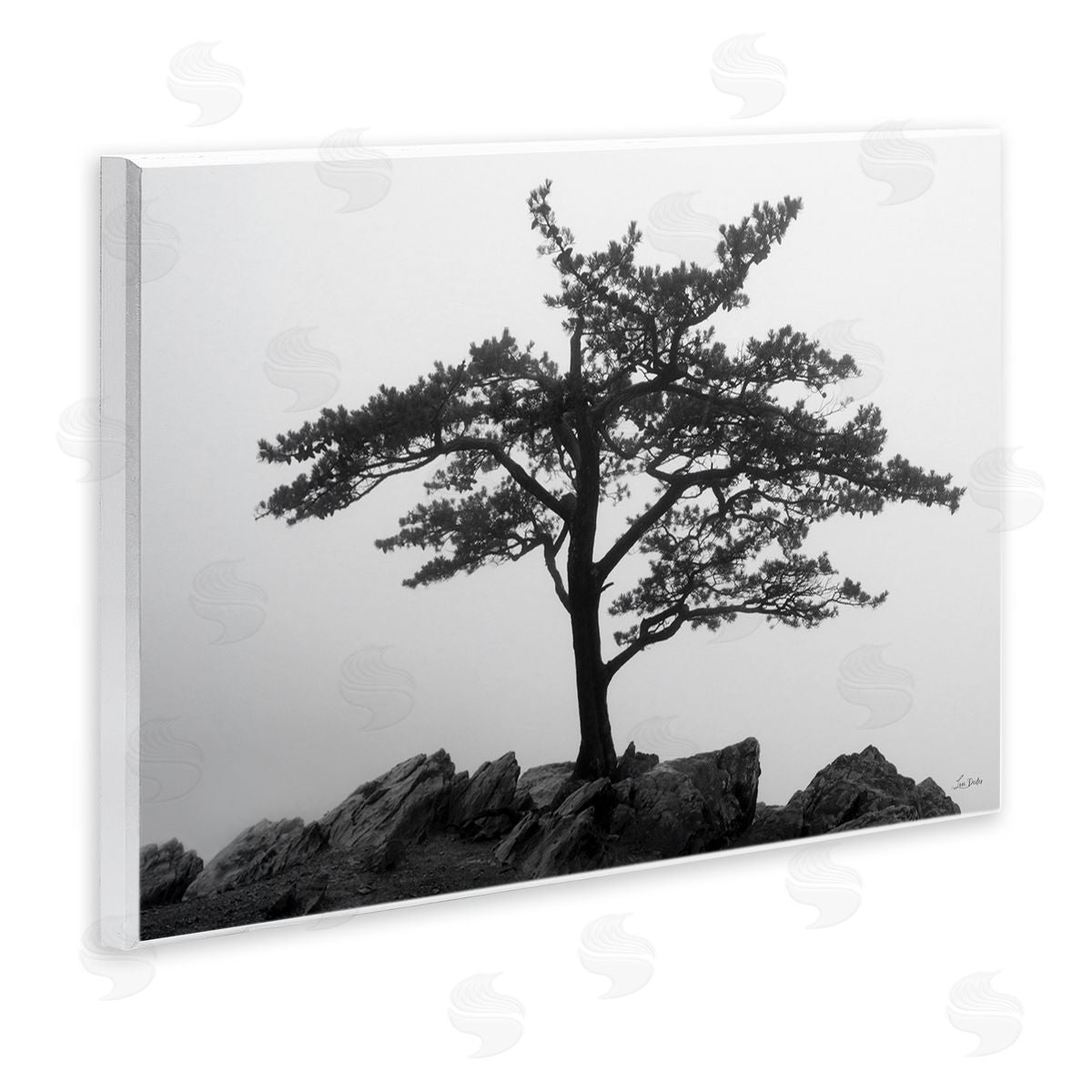 Lori Deiter Lone Tree on Rocks Wooden Wall Plaque Art Print